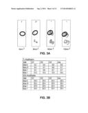 Telomere Length Measurement in Formalin-Fixed, Paraffin Embedded (FFPE)     Samples by Quantitative PCR diagram and image