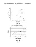 Telomere Length Measurement in Formalin-Fixed, Paraffin Embedded (FFPE)     Samples by Quantitative PCR diagram and image