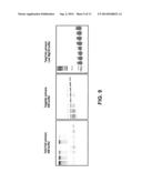 Telomere Length Measurement in Formalin-Fixed, Paraffin Embedded (FFPE)     Samples by Quantitative PCR diagram and image