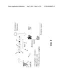 System and Method for Determining Copies-per-Unit-Volume Using PCR and     Flow Control of Droplets diagram and image