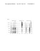 DIAGNOSIS OF SEPSIS AND SYSTEMIC INFLAMMATORY RESPONSE SYNDROME diagram and image