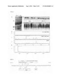 DIAGNOSIS OF SEPSIS AND SYSTEMIC INFLAMMATORY RESPONSE SYNDROME diagram and image