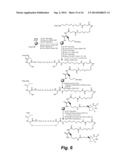 LEUKEMIA STEM CELL TARGETING LIGANDS AND METHODS OF USE diagram and image