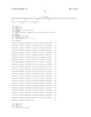 ZCYTOR19 POLYNUCLEOTIDES, POLYPEPTIDES, ANTIBODIES AND METHODS OF USE diagram and image