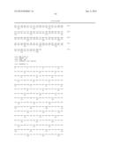 ZCYTOR19 POLYNUCLEOTIDES, POLYPEPTIDES, ANTIBODIES AND METHODS OF USE diagram and image