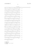 ZCYTOR19 POLYNUCLEOTIDES, POLYPEPTIDES, ANTIBODIES AND METHODS OF USE diagram and image