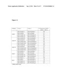 NOVEL INTRON SEQUENCES diagram and image