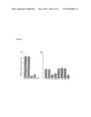 METHODS FOR EXPRESSING POLYPEPTIDES IN HYPERTHERMOPHILES diagram and image