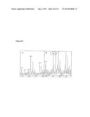 METHODS FOR EXPRESSING POLYPEPTIDES IN HYPERTHERMOPHILES diagram and image