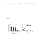 METHODS FOR EXPRESSING POLYPEPTIDES IN HYPERTHERMOPHILES diagram and image