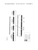 METHODS FOR EXPRESSING POLYPEPTIDES IN HYPERTHERMOPHILES diagram and image