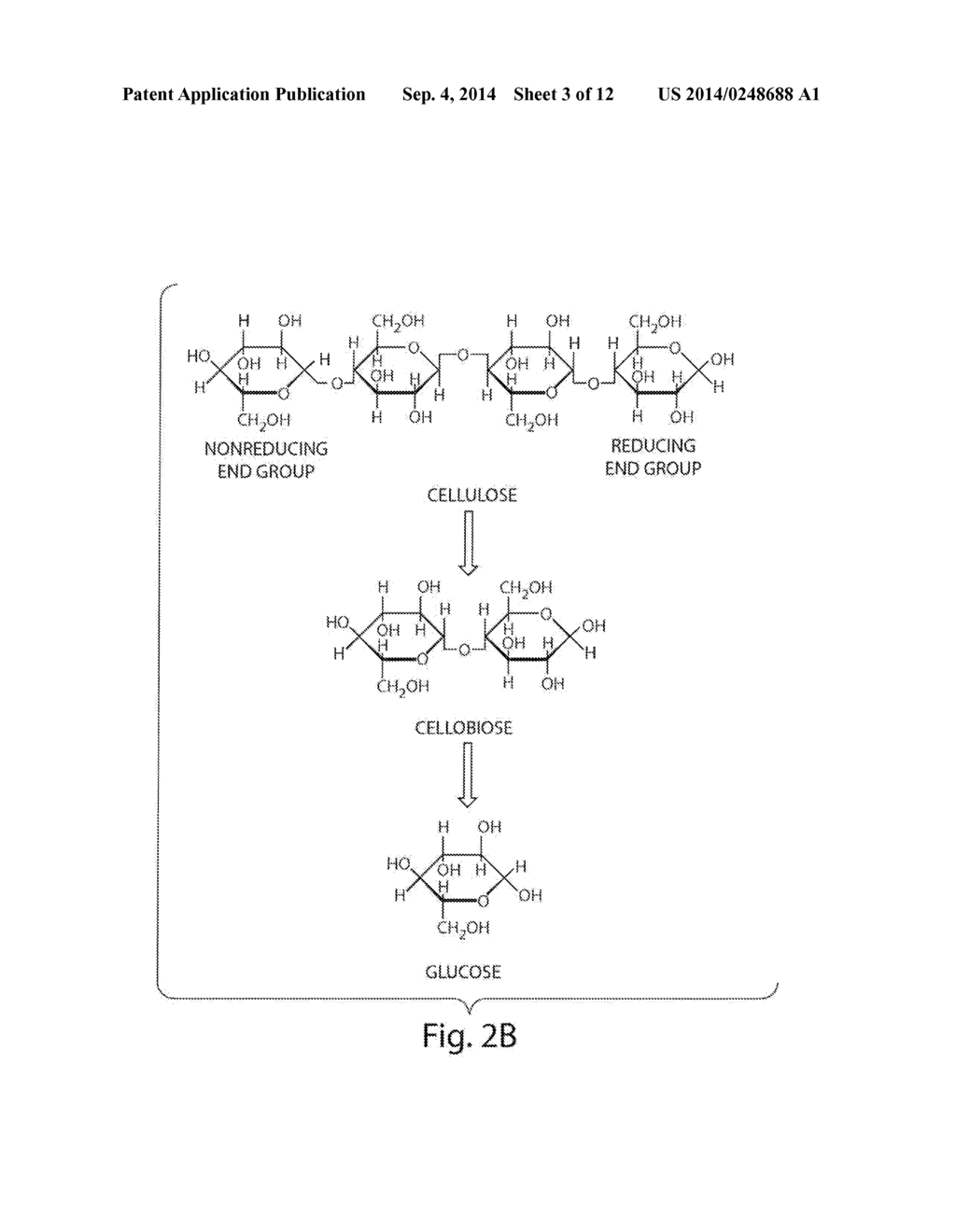 PLANT WALL DEGRADATIVE COMPOUNDS AND SYSTEMS - diagram, schematic, and image 04