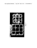 METHODS OF MACROMOLECULAR ANALYSIS USING NANOCHANNEL ARRAYS diagram and image