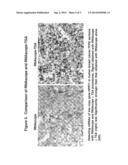 ULTRA SENSITIVE METHOD FOR IN SITU DETECTION OF NUCLEIC ACIDS diagram and image