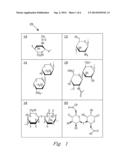 Topical Applicator Composition and Process for Treatment of Radiologically     Contaminated Dermal Injuries diagram and image