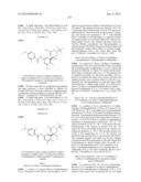 PERFLUORINATED 5,6-DIHYDRO-4H-1,3-OXAZIN-2-AMINE COMPOUNDS AS     BETA-SECRETASE INHIBITORS AND METHODS OF USE diagram and image