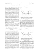 PERFLUORINATED 5,6-DIHYDRO-4H-1,3-OXAZIN-2-AMINE COMPOUNDS AS     BETA-SECRETASE INHIBITORS AND METHODS OF USE diagram and image