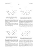 PERFLUORINATED 5,6-DIHYDRO-4H-1,3-OXAZIN-2-AMINE COMPOUNDS AS     BETA-SECRETASE INHIBITORS AND METHODS OF USE diagram and image