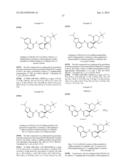 PERFLUORINATED 5,6-DIHYDRO-4H-1,3-OXAZIN-2-AMINE COMPOUNDS AS     BETA-SECRETASE INHIBITORS AND METHODS OF USE diagram and image