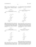 PIM KINASE INHIBITORS AND METHODS OF THEIR USE diagram and image