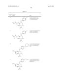 PROPHYLACTIC AND/OR THERAPEUTIC AGENT FOR ANEMIA COMPRISING     TETRAHYDROQUINOLINE COMPOUND AS ACTIVE INGREDIENT diagram and image