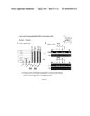 Systemic Gene Replacement Therapy for Treatment of X-Linked MyoTubular     Myopathy (XLMTM) diagram and image
