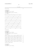 ANTI-HUMAN EQUILIBRATIVE NUCLEOSIDE TRANSPORTER 1 (hENT1) ANTIBODIES ADN     METHODS OF USE THEREOF diagram and image