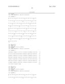 ANTI-HUMAN EQUILIBRATIVE NUCLEOSIDE TRANSPORTER 1 (hENT1) ANTIBODIES ADN     METHODS OF USE THEREOF diagram and image