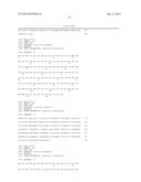 ANTI-HUMAN EQUILIBRATIVE NUCLEOSIDE TRANSPORTER 1 (hENT1) ANTIBODIES ADN     METHODS OF USE THEREOF diagram and image