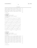 ANTI-HUMAN EQUILIBRATIVE NUCLEOSIDE TRANSPORTER 1 (hENT1) ANTIBODIES ADN     METHODS OF USE THEREOF diagram and image