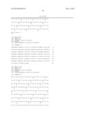 ANTI-HUMAN EQUILIBRATIVE NUCLEOSIDE TRANSPORTER 1 (hENT1) ANTIBODIES ADN     METHODS OF USE THEREOF diagram and image