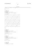 ANTI-HUMAN EQUILIBRATIVE NUCLEOSIDE TRANSPORTER 1 (hENT1) ANTIBODIES ADN     METHODS OF USE THEREOF diagram and image