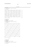 ANTI-HUMAN EQUILIBRATIVE NUCLEOSIDE TRANSPORTER 1 (hENT1) ANTIBODIES ADN     METHODS OF USE THEREOF diagram and image