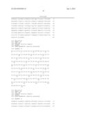 ANTI-HUMAN EQUILIBRATIVE NUCLEOSIDE TRANSPORTER 1 (hENT1) ANTIBODIES ADN     METHODS OF USE THEREOF diagram and image