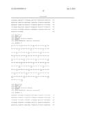 ANTI-HUMAN EQUILIBRATIVE NUCLEOSIDE TRANSPORTER 1 (hENT1) ANTIBODIES ADN     METHODS OF USE THEREOF diagram and image