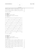 ANTI-HUMAN EQUILIBRATIVE NUCLEOSIDE TRANSPORTER 1 (hENT1) ANTIBODIES ADN     METHODS OF USE THEREOF diagram and image