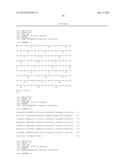 ANTI-HUMAN EQUILIBRATIVE NUCLEOSIDE TRANSPORTER 1 (hENT1) ANTIBODIES ADN     METHODS OF USE THEREOF diagram and image