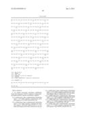 ANTI-HUMAN EQUILIBRATIVE NUCLEOSIDE TRANSPORTER 1 (hENT1) ANTIBODIES ADN     METHODS OF USE THEREOF diagram and image