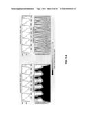 CARDIOVASCULAR PULSE WAVE ANALYSIS METHOD AND SYSTEM diagram and image