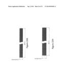 Insertable Endoscopic Instrument For Tissue Removal diagram and image