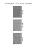 THIN FILM VASCULAR STENT AND BIOCOMPATIBLE SURFACE TREATMENT diagram and image