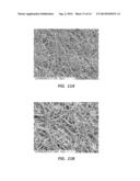 ELECTROSPUN PTFE COATED STENT AND METHOD OF USE diagram and image