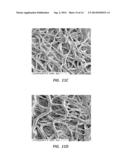 ELECTROSPUN PTFE COATED STENT AND METHOD OF USE diagram and image