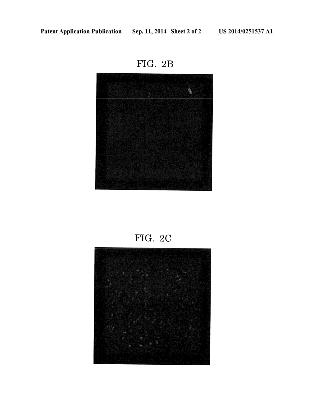 Insulating Resin Film, Bonded Structure Using Insulating Resin Film, and     Production Method of Bonded Structure - diagram, schematic, and image 03