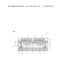 MODULE, METHOD FOR MANUFACTURING THE MODULE, AND  ELECTRONIC APPARATUS     INCLUDING THE MODULE diagram and image