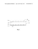 METAL CONTACT SCHEME AND PASSIVATION SCHEME FOR SOLAR CELLS diagram and image