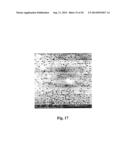 METAL CONTACT SCHEME AND PASSIVATION SCHEME FOR SOLAR CELLS diagram and image