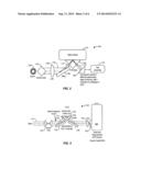 METHODS, DEVICES AND KITS FOR PERI-CRITICAL REFLECTANCE SPECTROSCOPY diagram and image