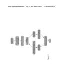 PHASE-SENSITIVE TWO-DIMENSIONAL NEUTRON SHEARING INTERFEROMETER AND     HARTMANN SENSOR diagram and image