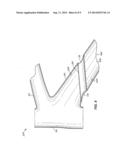 BICYCLE FRAME WITH INTERNAL STRUT diagram and image